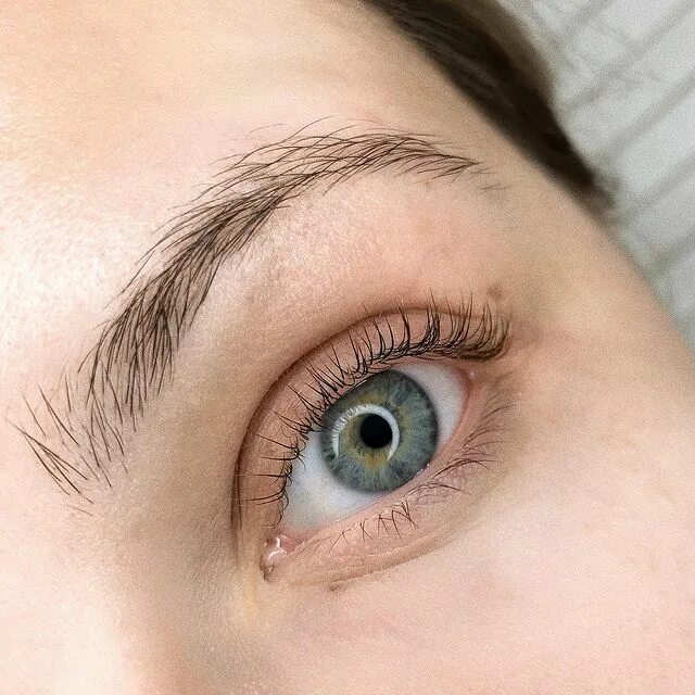 Брови и ресницы дмитров. Наращивание ресниц икша татьяна. Наращивание ресниц дмитров. Окрашивание бровей. Наращивание ресниц дмитров.