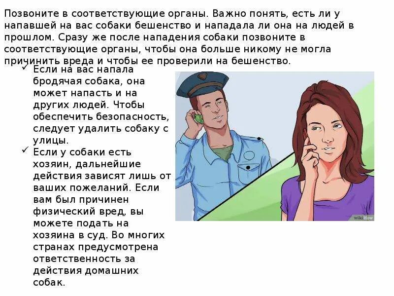 Если на вас напала собака ваши действия. Памятка что делать если на тебя напала собака. ВТО делать если на тебя на пала собака. Что делать если на тебя напала собака