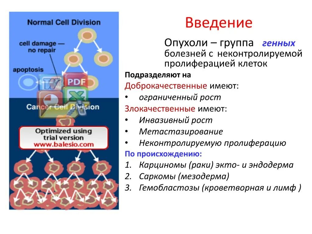 Пролиферация это простыми словами. Пролиферация раковых клеток. Клеточная пролиферация. Профиоирация опухоли. Пролиферация клеток опухоли.