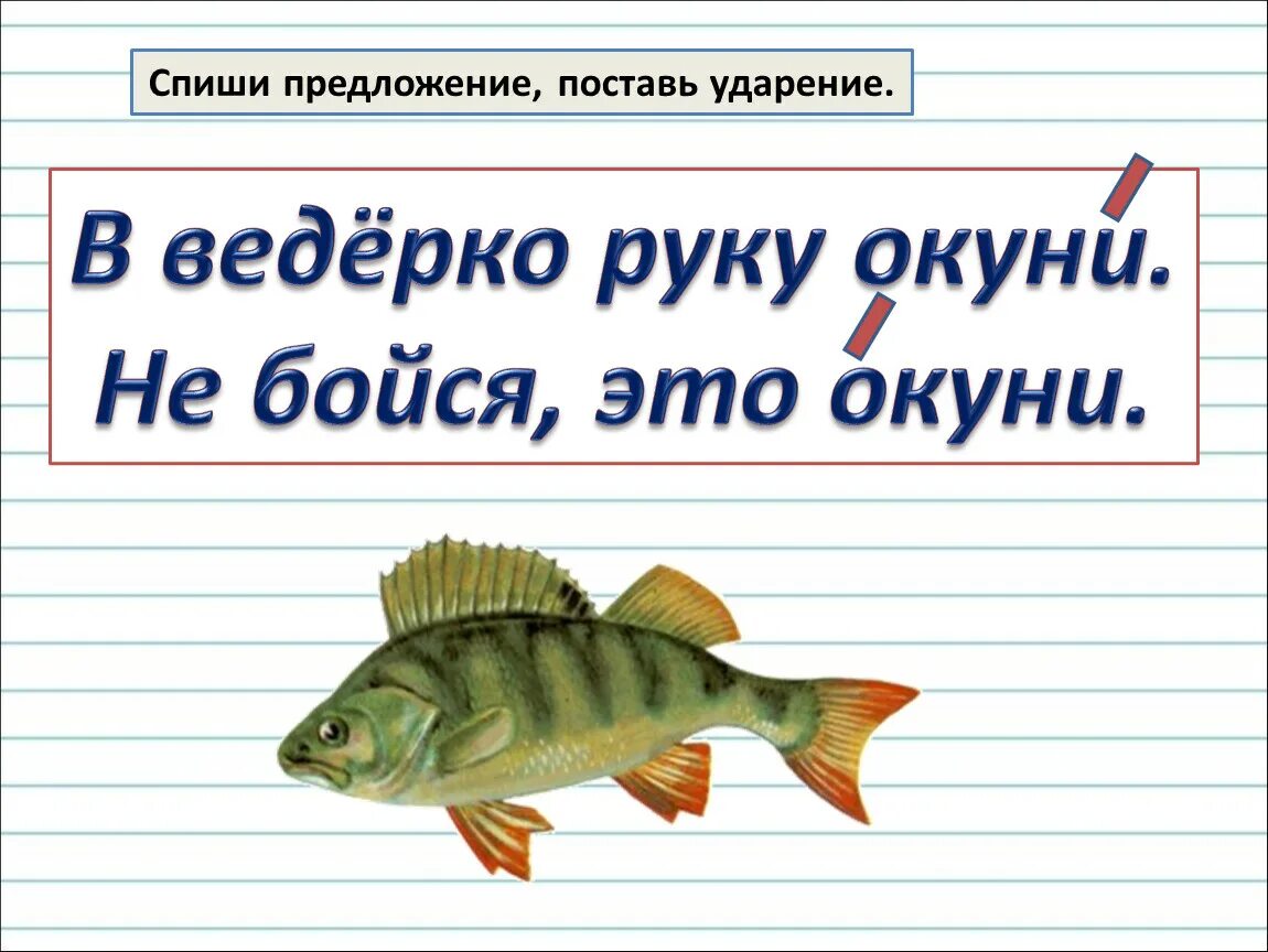 Ударный слог в слове окунь. Ударение как определить ударный слог. Поставь ударение. Как определить ударный слог 2 класс. Как определить ударный слог 2 класс школа России.