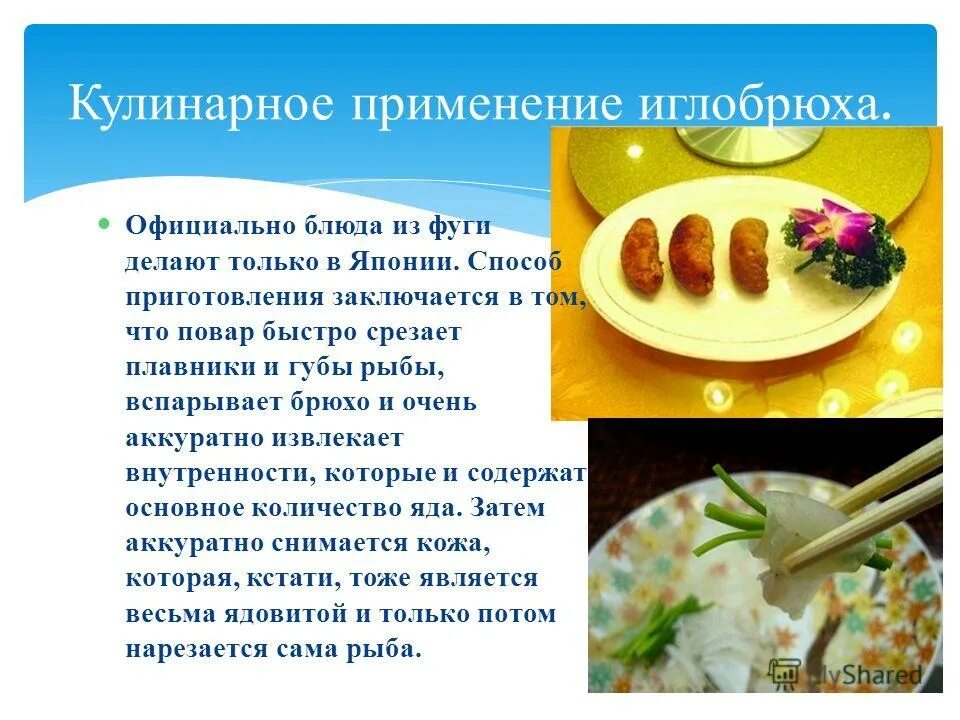 кулинарное использование головы. история профессии повар кондитер. дисциплины по профессии повар кондитер. буклет профессия повар кондитер. дисциплины по профессии повар кондитер.