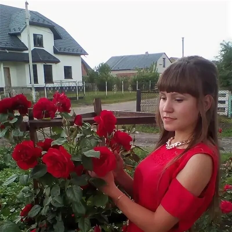 Полтава кировоград. Полтава кировоград