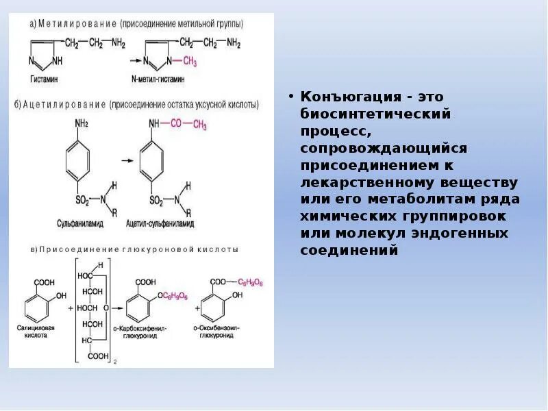 Синтез гистамина. Конъюгация лекарственных веществ. инактивации гистамина. реакция инактивации гистамина. метильная конъюгация.