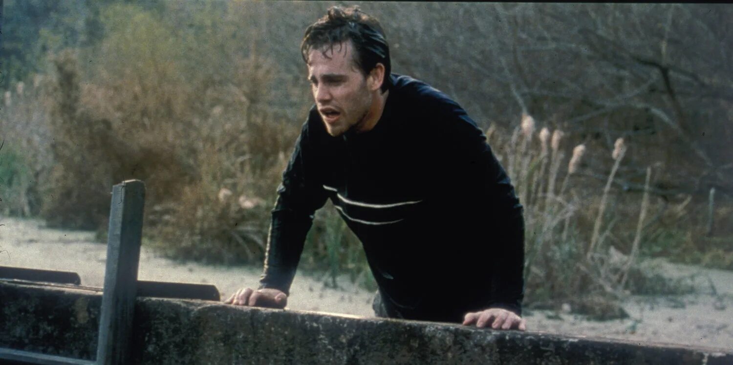 лихорадка 2015