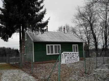 Погода локня псковская область на 3 дня