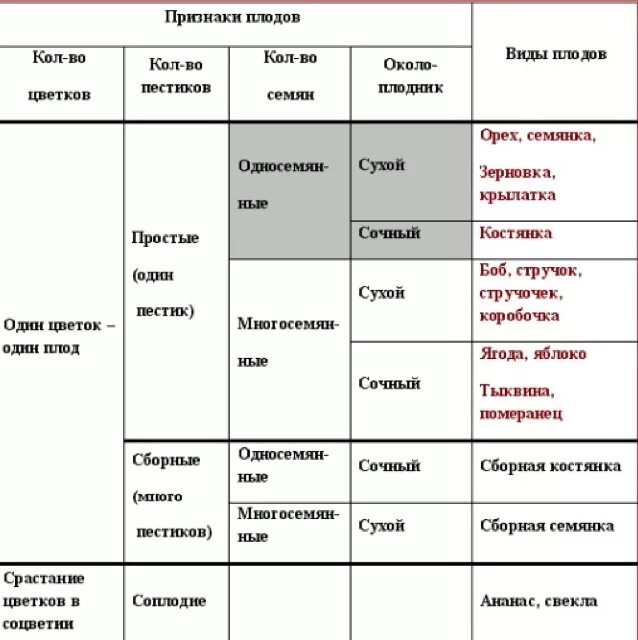 Таблица классификация плодов биология 6. Характеристика плодов таблица биология 6 класс. Биология 6 кл таблица типы плодов. Таблица типы плодов 6 класс биология.