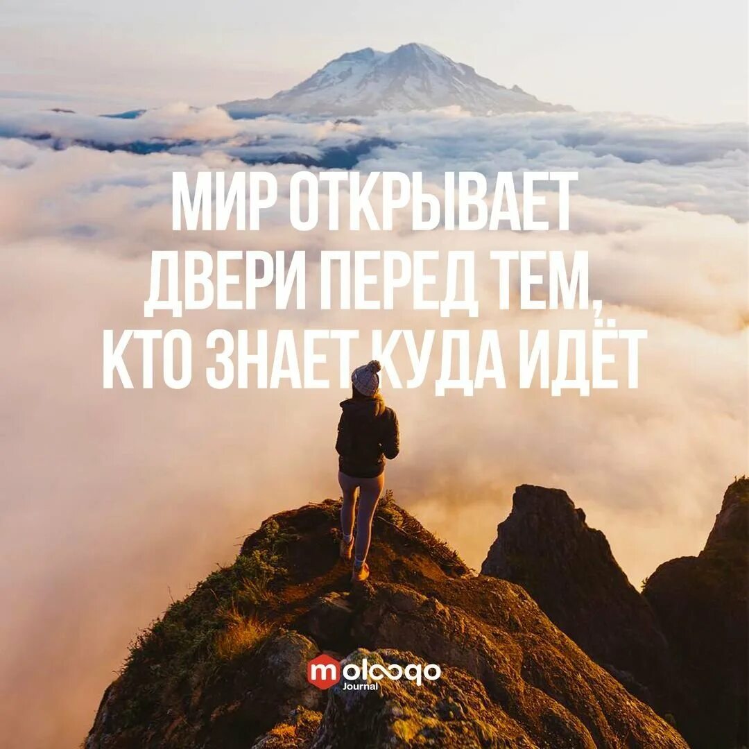 Организация z для достижения своей цели может