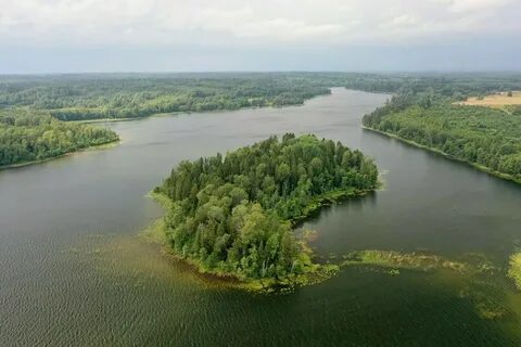 Бросно