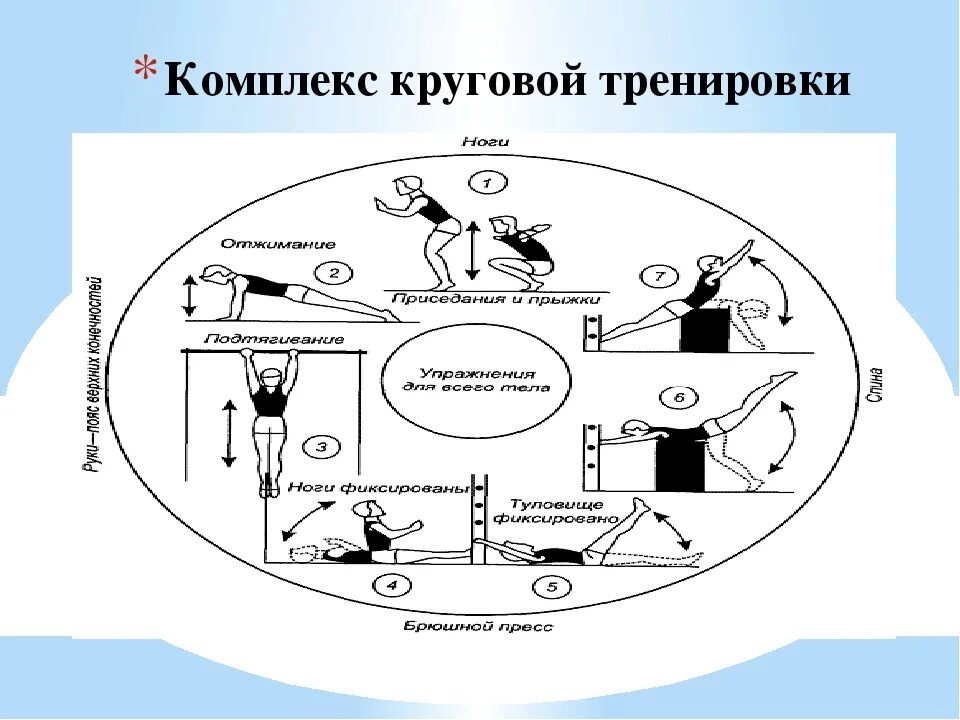 Метод круговой тренировки комплекс упражнений. Составьте комплекс упражнений для круговой тренировки. Опишите метод круговой тренировки. Метод круговой тренировки схема. Комплекс упражнений с использованием метода круговой тренировки