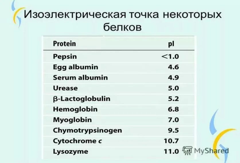 Белковая точка. Изоэлектрическая точка. Изоэлектрическая точка белка. Изо электрическая точка бклкуа. PH И изоэлектрическая точка.