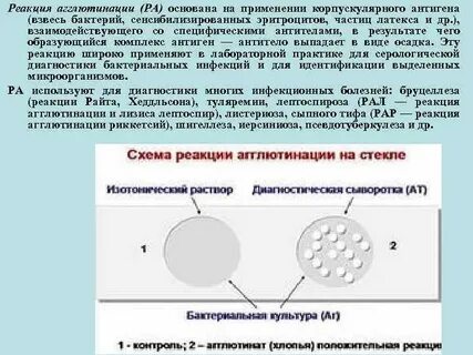Корпускулярные антигены