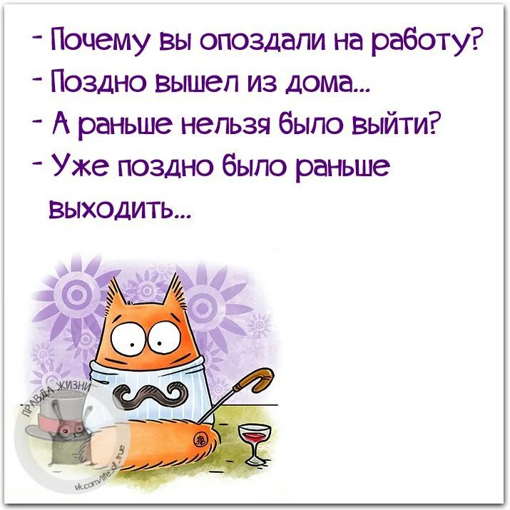 Анекдоты про работу в картинках. Почему вы опаздала на работу. Опоздала на работу юмор. Смешные фразы про опоздания.