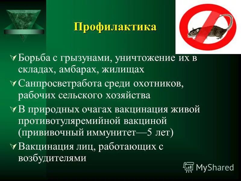 Профилактические меры против. Профилактика туляремии. Туляркмияпрофилактика. Профилактика при туляремии.