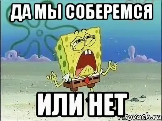 Собиремся. Собираетесь или собераитесь. соберемся или собиремся. собираешься или. соберётся или собирётся.
