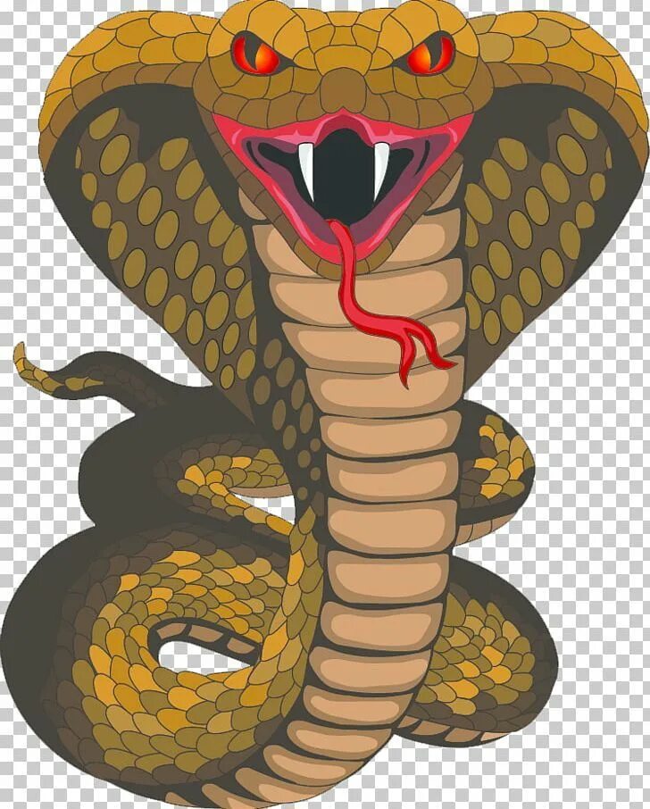 SlickGecko альбом Viper слушать онлайн бесплатно на Яндекс Музыке в хорошем каче