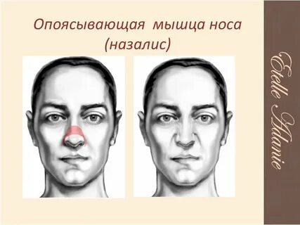 Щечный коридор при улыбке это