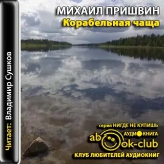 Автор в чаще