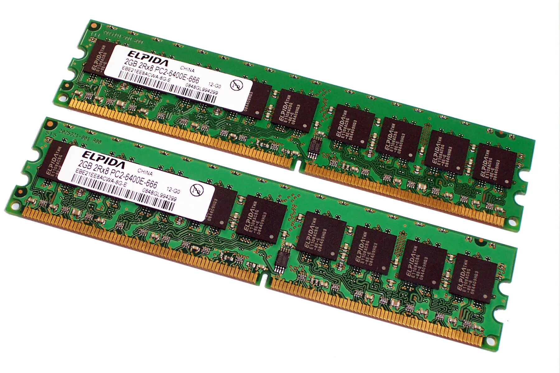 Ddr2 2 gb. Память Оперативная ddr2 AMD 2gb 800mhz (r322g805u2s-Ugo). Оперативная память DDR rimm DIMM. Оперативная память AMD ddr2 - 2гб 800, DIMM, Ret. Модуль памяти Patriot Memory ddr2 so-DIMM 800mhz pc2-6400 - 2gb psd22g8002s.