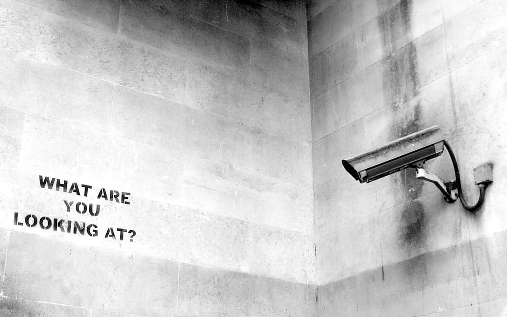 What you looking for i trying. Бэнкси камеры. what are you looking at banksy. what are you looking at. you look камеры.