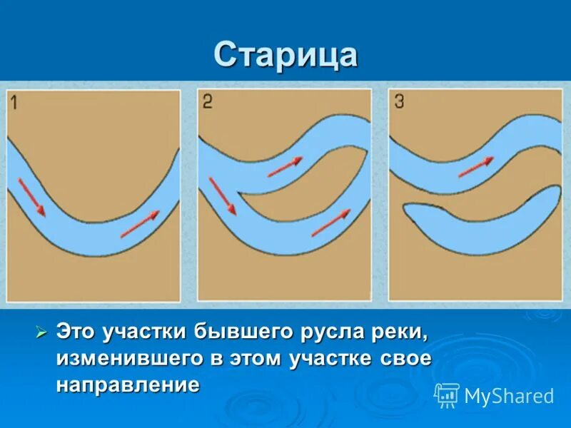 движение русла реки. продольный и поперечный профиль реки. формы русел рек. движение русла реки. движение русла реки.