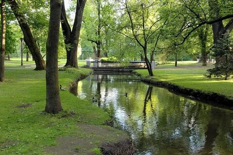 Водоем в парке