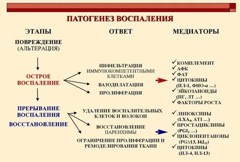 Роль воспаления в патогенезе