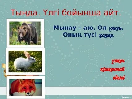 Семіз кәрі қаншықтар