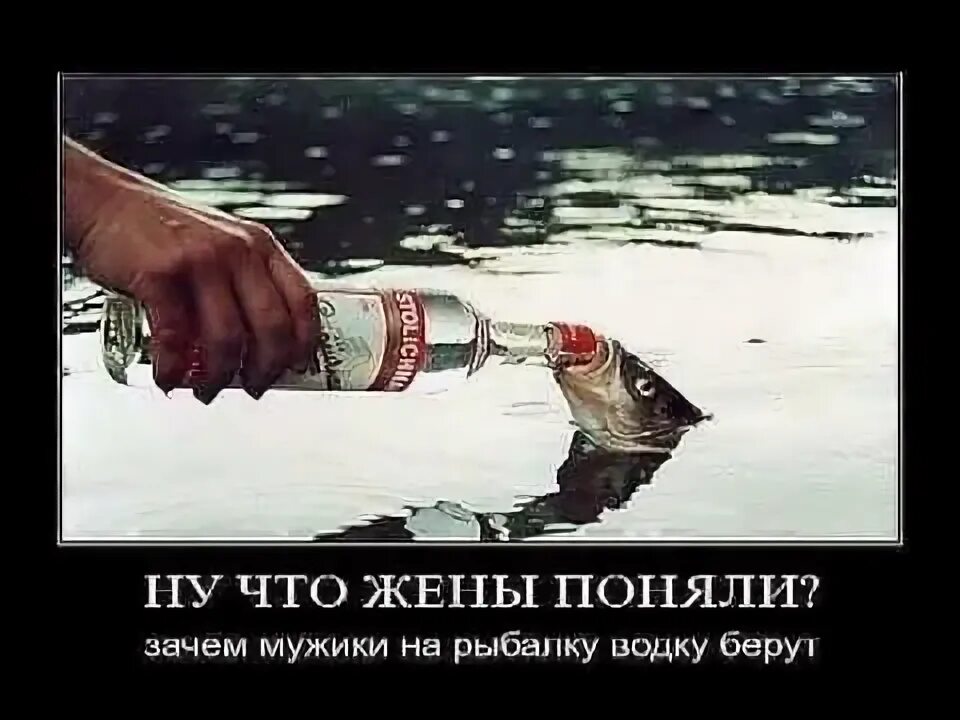 Peggy gou привет с большого бодуна. Открытка привет с большого бодуна. привет с большого бодуна. привет с большого бодуна картинки. привет с большого бодуна прикол.