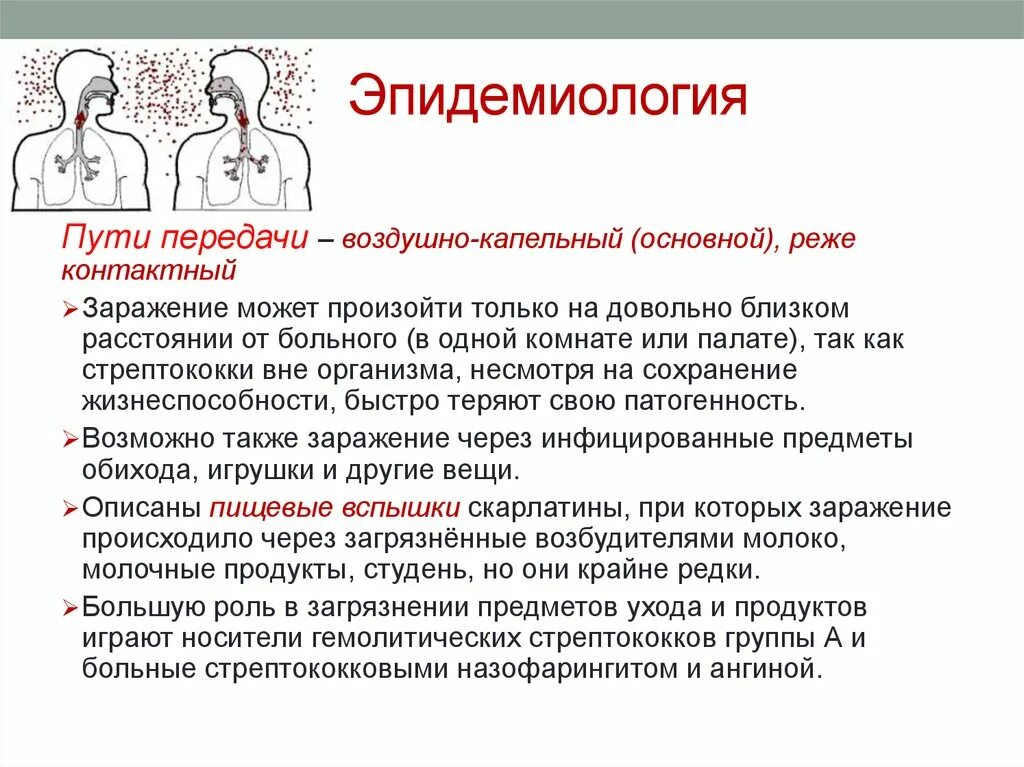 Откуда можно заразиться. Пути заражения стрептококковой инфекцией. Пути передачи стрептококковой инфекции. Источник стрептококковой инфекции. Путь передачи при стрептококковой инфекции.