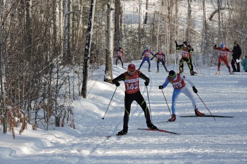 Спортивная лыжная база. Лыжная база Брянск 10 микрорайон. Сенчиты Великие Луки лыжная база. Лыжная база Снежинка Ижевск. Лыжная база Снежинка Усолье-Сибирское.