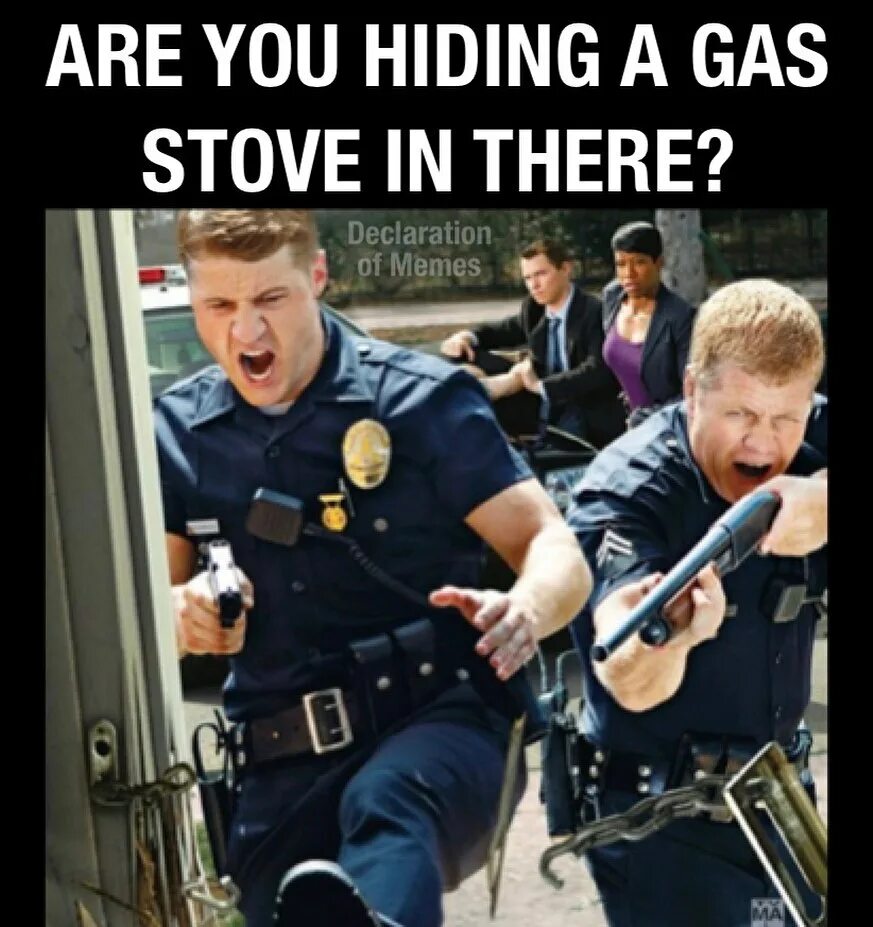 Were just following his. You see, your honor, my client was just following orders. Ok now what meme. Were just following his. Were just following his.