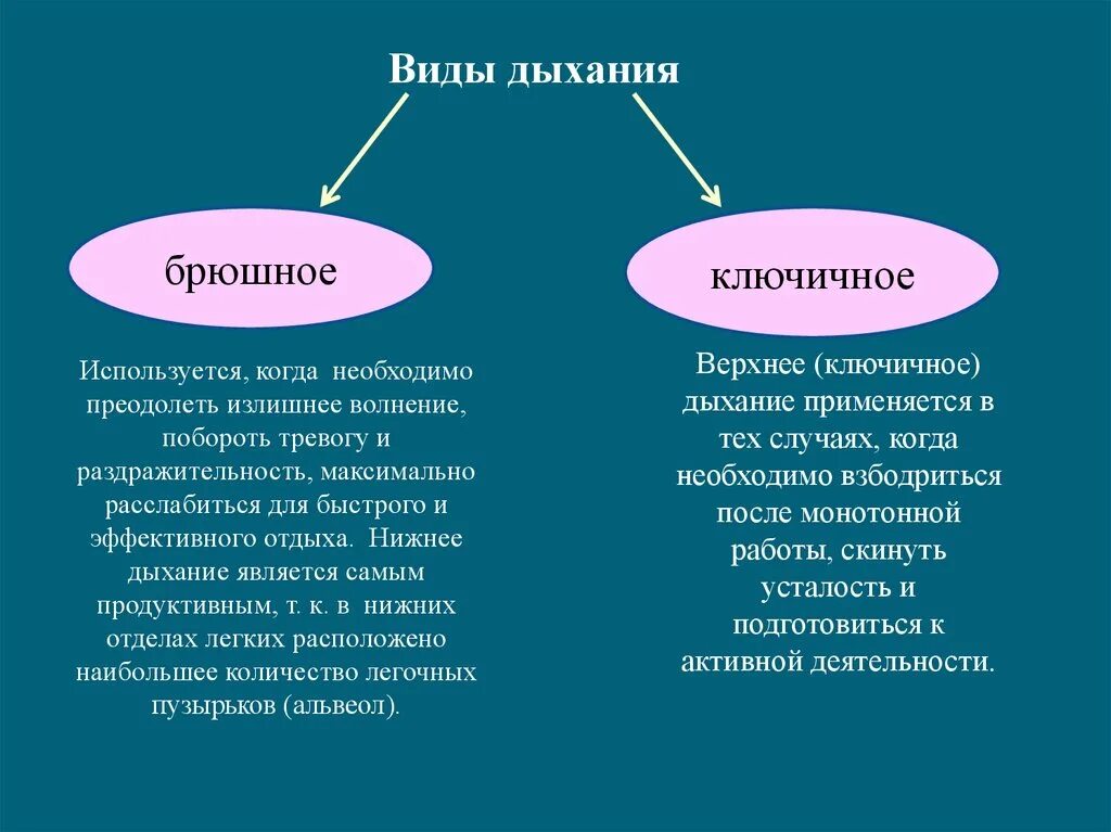 Грудной тип дыхания характерен для. Виды дыхания. Дыхательные приемы саморегуляции. Виды и типы дыхания. Какие существуют типы дыхания.