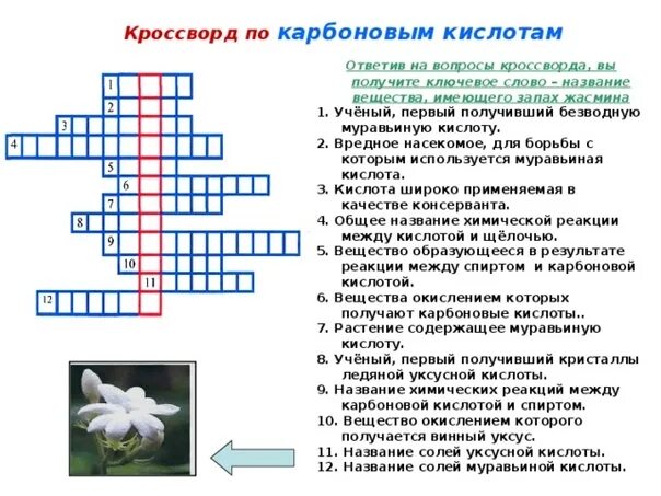 Химический соединение сканворд. Кроссворд по химии. Кроссворд по теме карбоновые кислоты. Кроссворд по биологии и химии. Химический кроссворд.