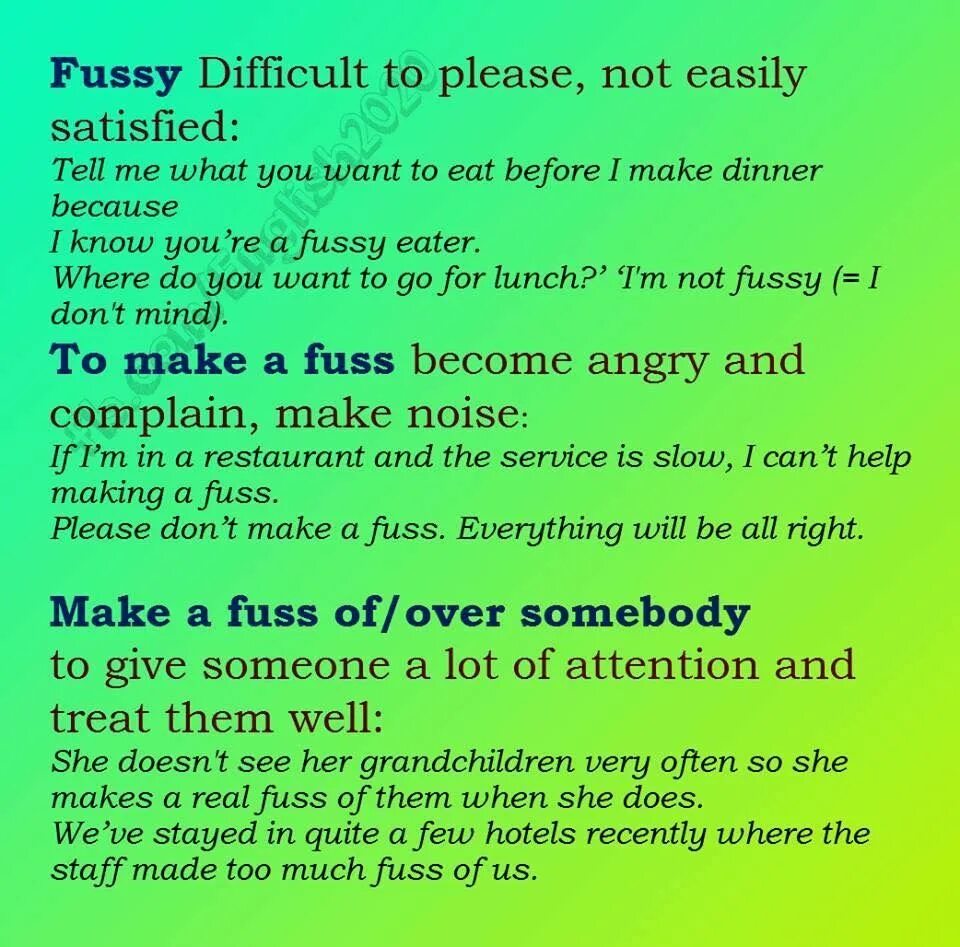 Идиомы make a Fuss. Fussy Eater перевод. Предложение со словом fussy. Make a Fuss перевод.