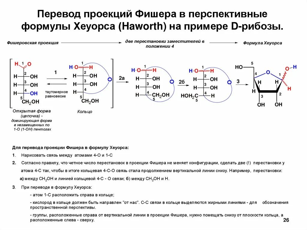бета д рибофураноза формула. циклические формулы хеуорса. проекция хеуорса глюкозы. циклические формулы хеуорса. проекционные формулы хеуорса.