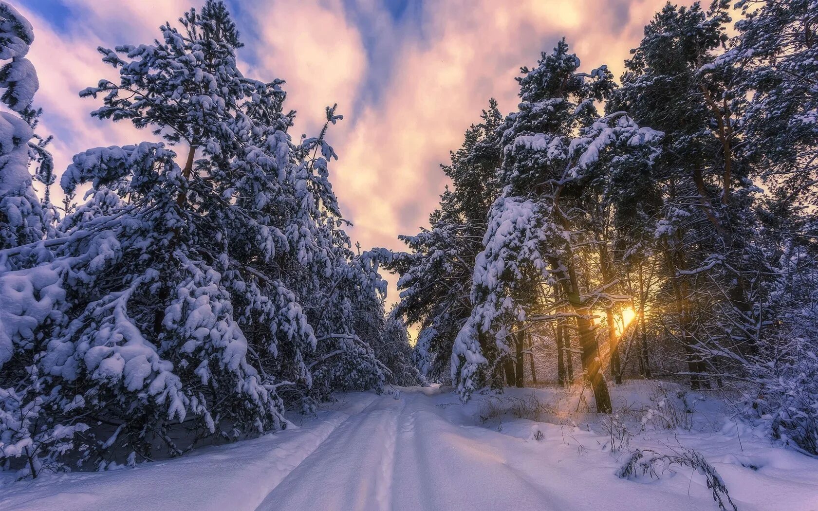 Зимний лес. Зимняя природа. Тропинка в зимнем лесу. Зимняя дорога в лесу.