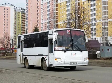 103 автобус киров