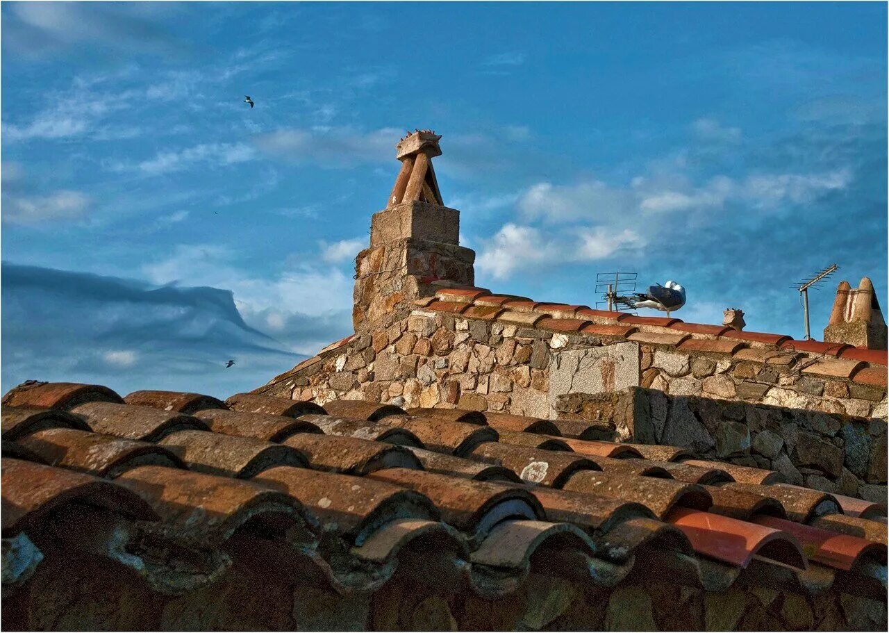 Небо с крыши. Молодожены на крыши. Звезда над крышей. Взлететь над суетой. Возвышаться над крышей.