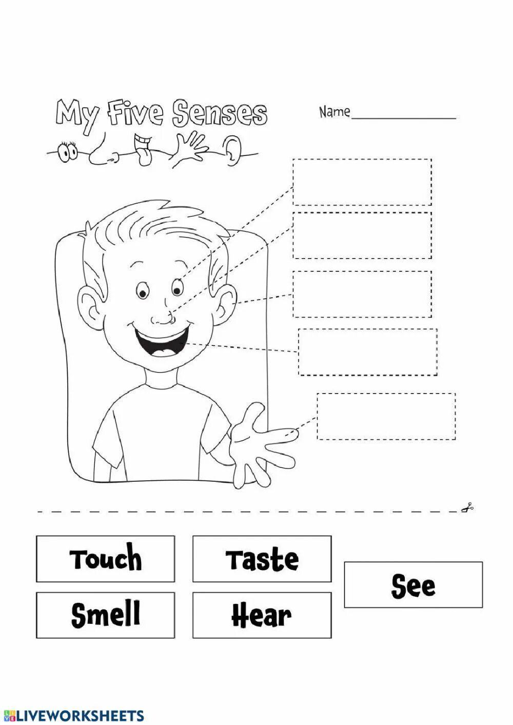5 senses for kids. My senses worksheets. Five senses activities for kids. 5 senses book for kids. Kid sense.