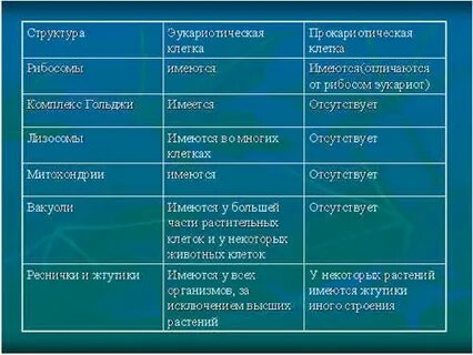 Название бактерий 7 класс биология таблица