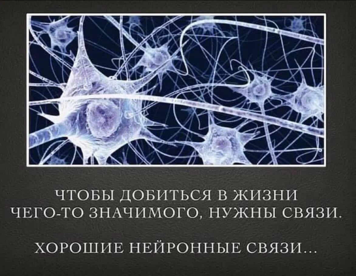 Как создать нейронную связь
