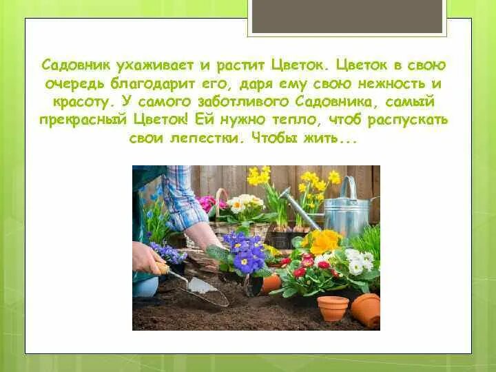 Чем полезна работа садовника обществу 4 класс. У самого заботливого садовника самый прекрасный. У заботливого садовника самый прекрасный цветок. Какой садовник такой и цветок. Заботливый садовник.