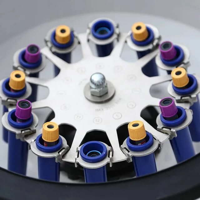 гослаб лаборатория владикавказ. цнил владикавказ. гослаб лаборатория владикавказ. зураба магкаева 12 владикавказ. гослаб лаборатория владикавказ.