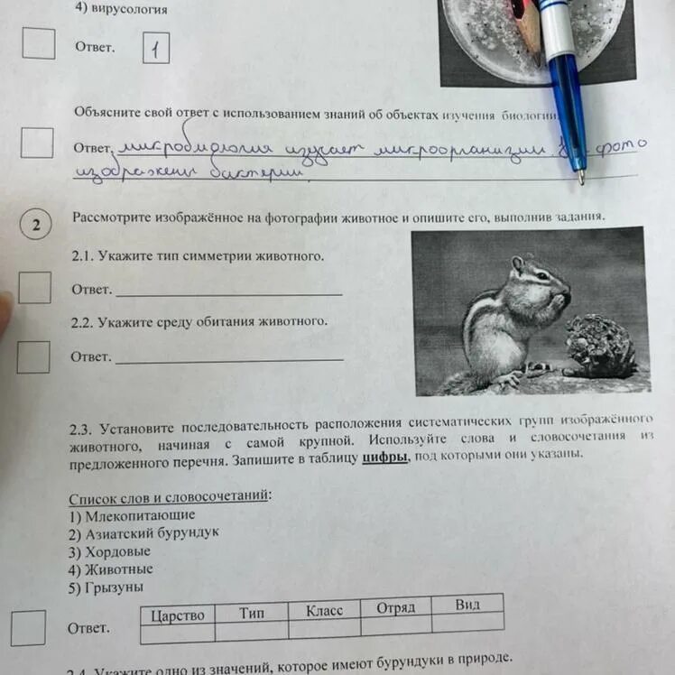 Впрочем по биологии 5 класс с ответами. ВПР по биологии задание 2 1. Ответы биология ВПР. ВПР по биологии 6 ответы. ВПР по биологии 4 класс с ответами.