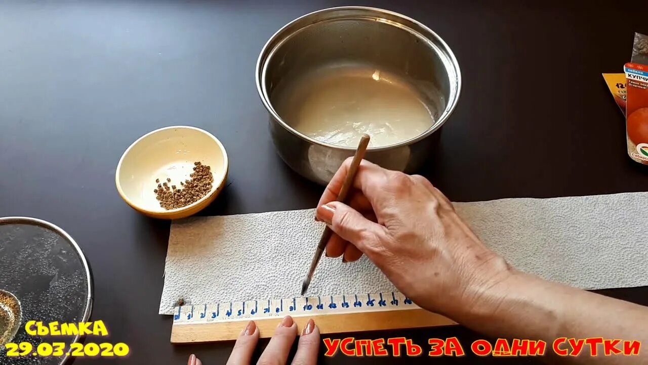 Семена на туалетной бумаге. Наклеивание семян моркови на туалетную бумагу. Наклеивание семян моркови на туалетную бумагу. На какой клей клеить семена. Семена моркови на туалетной бумаге.