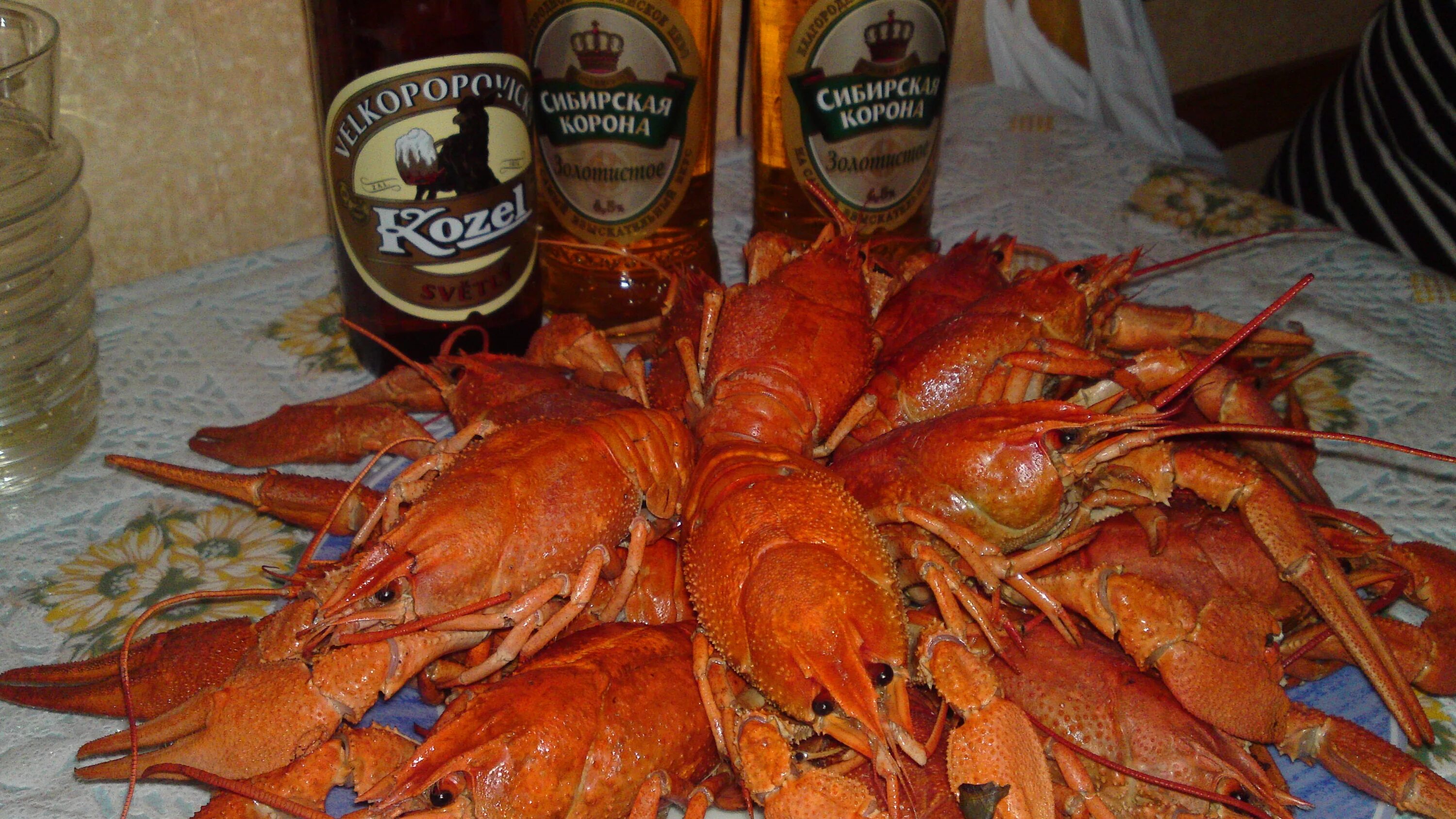 раковый ресторан фото. мидии чили 40/60. много раков, креветок и шикарный стол. фон рачки. морепродукты фото красивые.