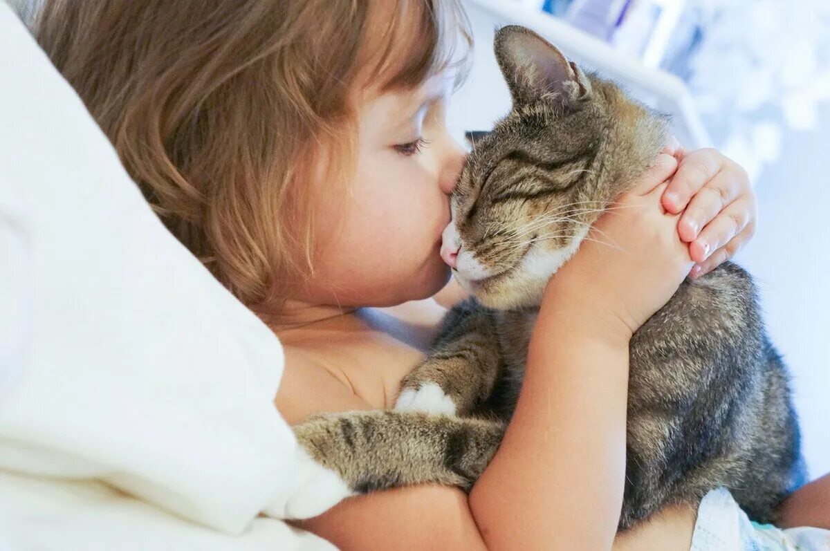 Киска друг. Котёнок-ребёнок. Девочка с котом. Кошка для детей. Кот обнимает.