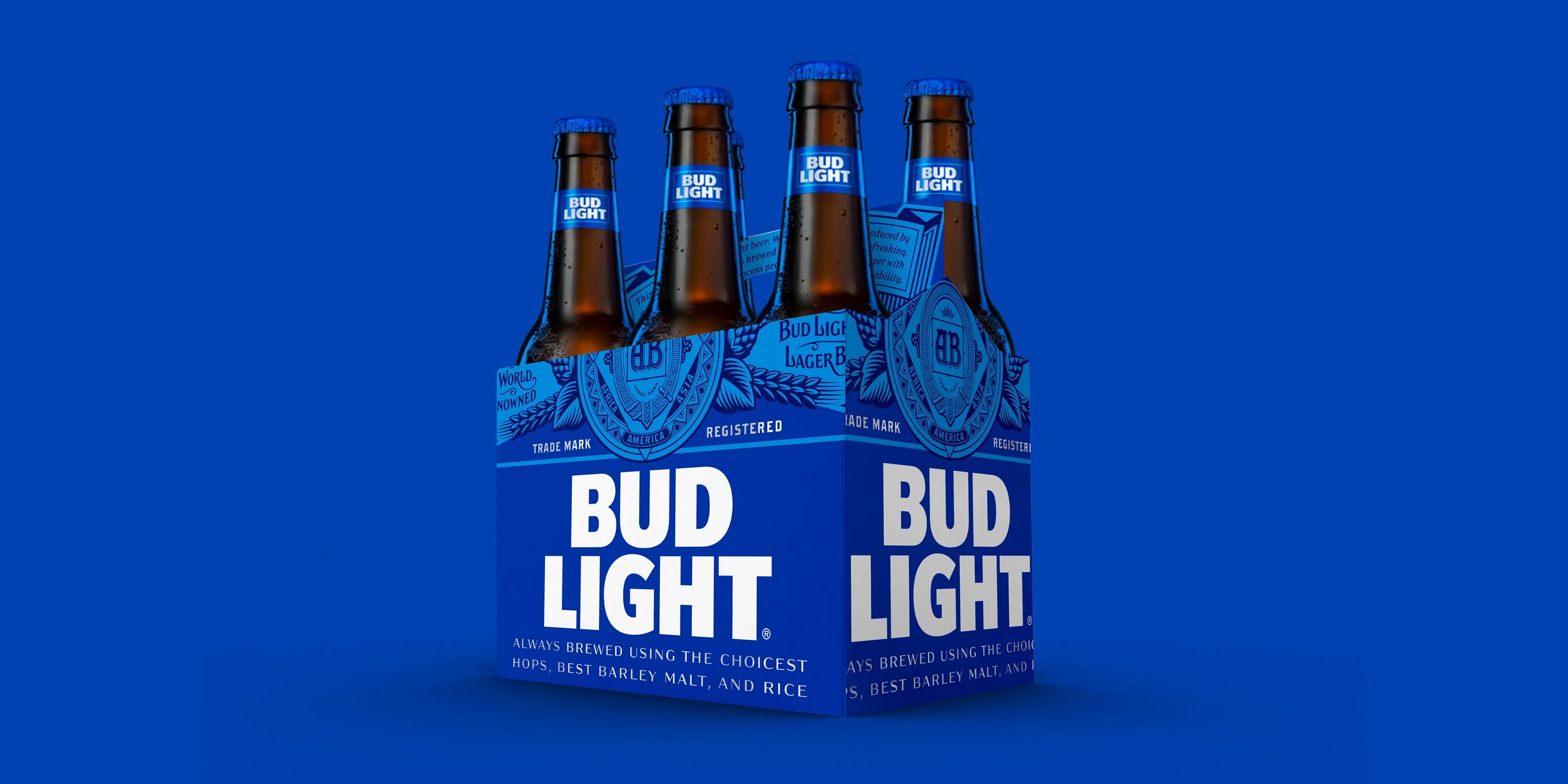 Бад лайт. Будлайт пиво. Bud Light logo. Этикетка БАД Лайт. Консоль БАД Лайт.