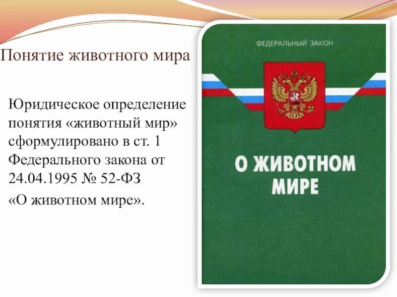 От 24 апреля 2008 г. Федеральный закон о животном мире. Закон "о животном мире " правовые функции. Федеральный закон "о животном мире" от 24.04.1995 n 52-ФЗ. Федеральный закон "о животном мире" не предусматривает.