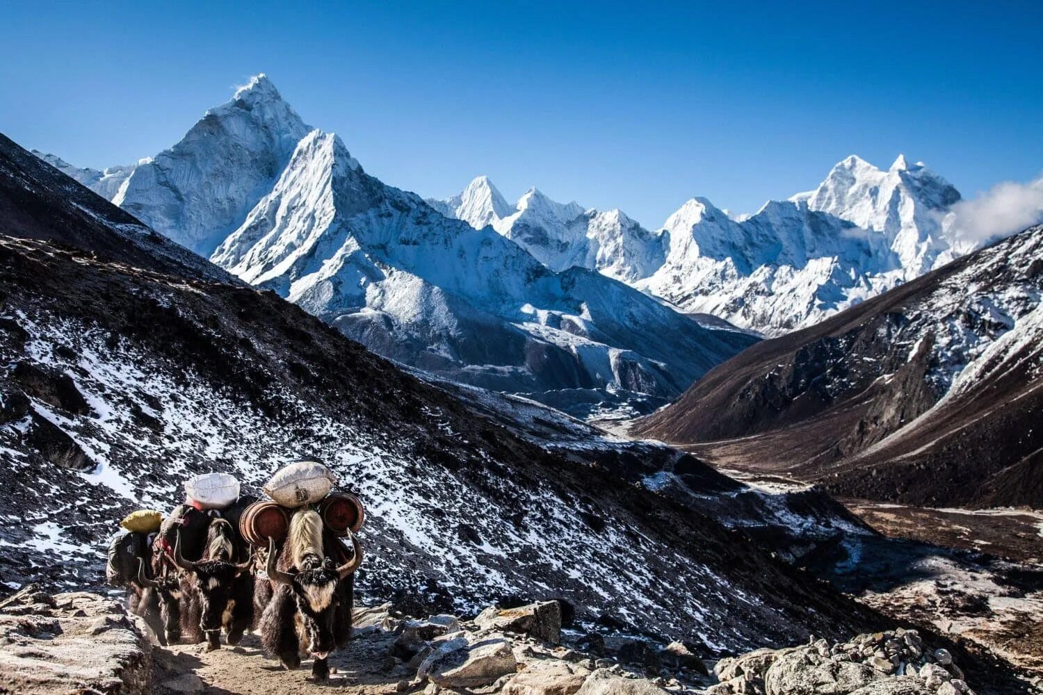 Nepal. Катманду Непал горы. Непал Гималаи. Непал горы Гималаи. Непал природа Гималаи.